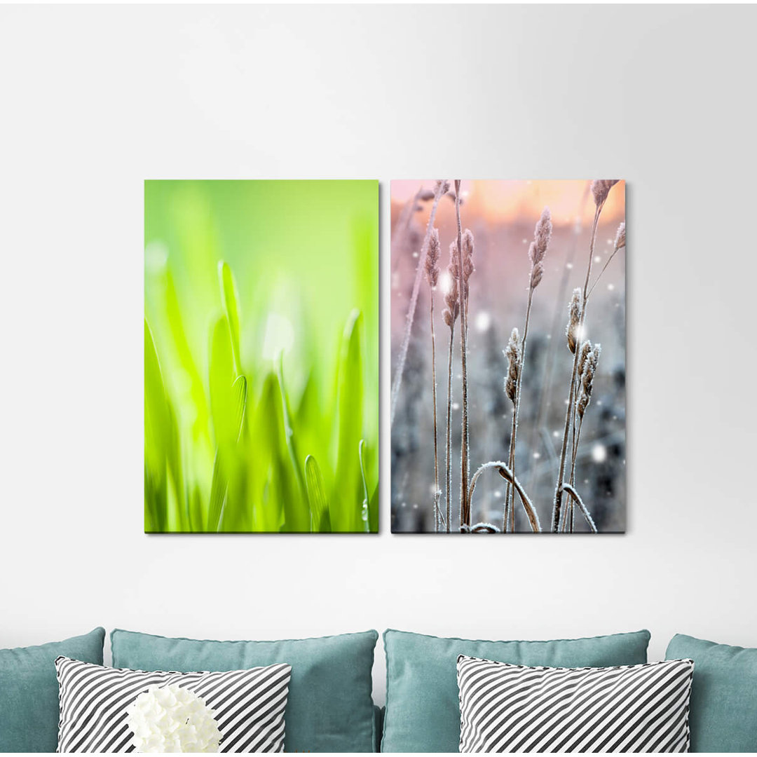 2-tlg. Leinwandbilder-Set - Fotografie „Grass Blades of Grass Green Wheat Frost Summer Winter”