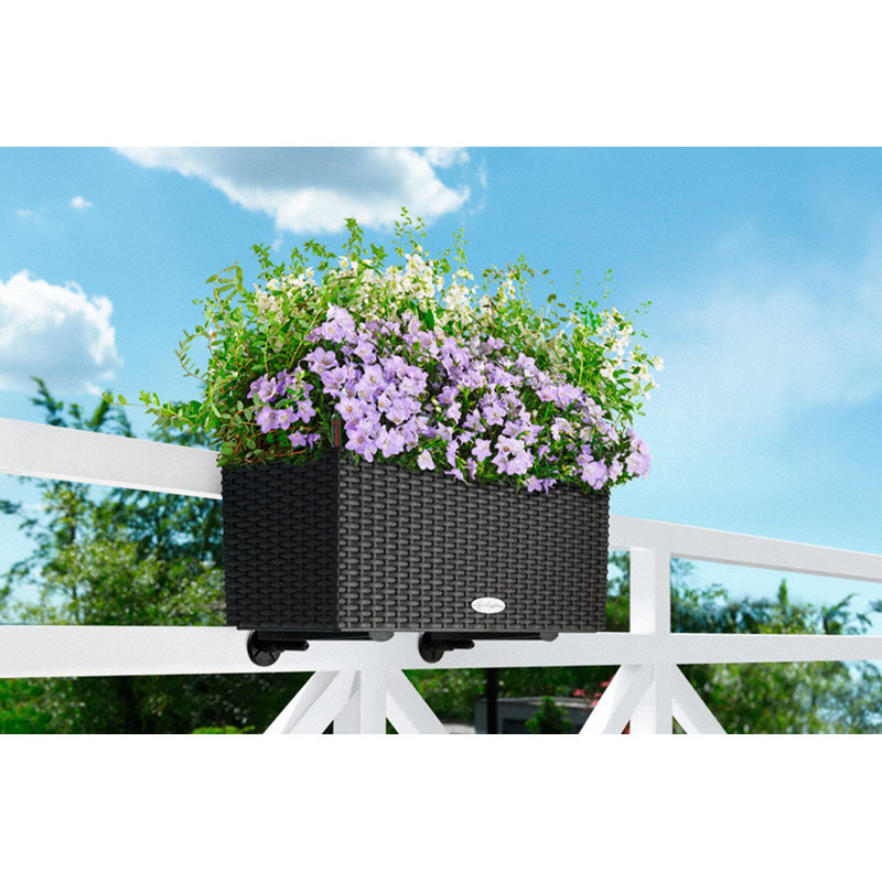 Bracket Plant Stand