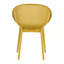 Ensemble de 2 chaises longues modernes - Plastique résistant aux intempéries intérieur / extérieur, léger pour patio, plage, salon (jaune terreux)-1143887868