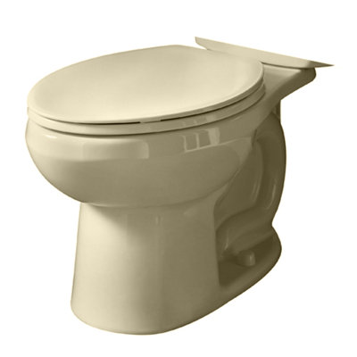 Evolution Toilet Bowl