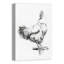« campagne coq sketch », reproduction d’art sur toile-22828505-22828510