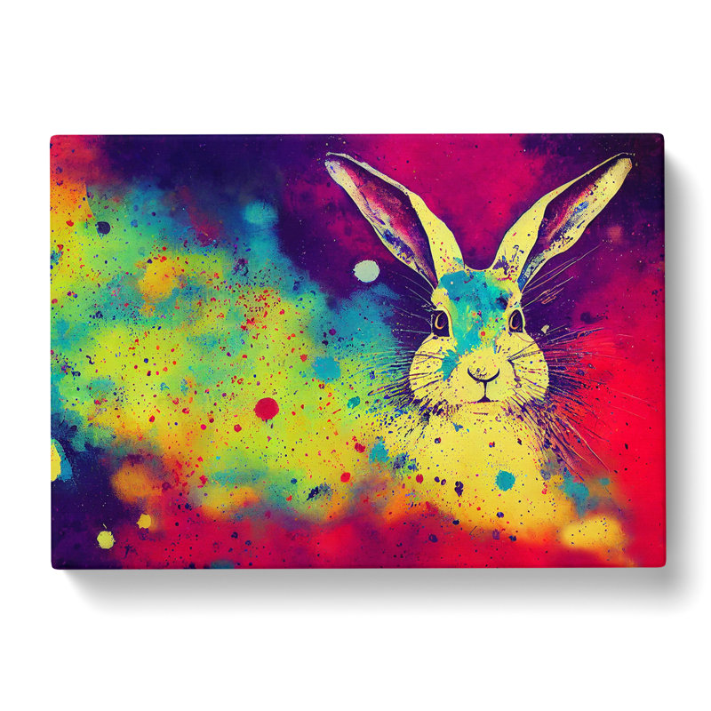 Hare Splash Vol.5 Abstract - Wrapped Canvas Print, 35cm H x 50cm W x 3cm D