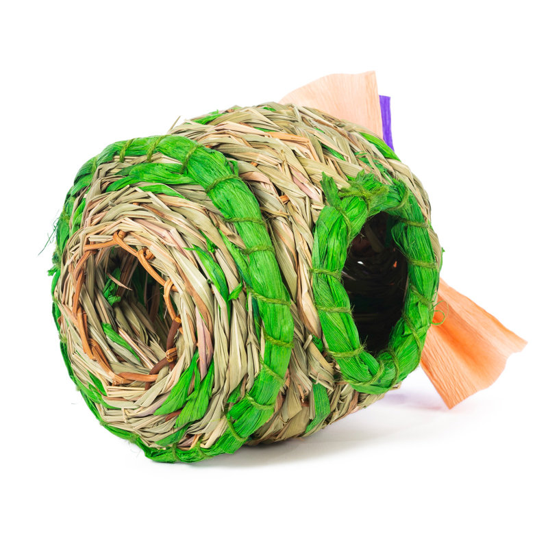 Cactus en pot caché, Petit (H 7 po x l 6,5 po x P 5,75 po)