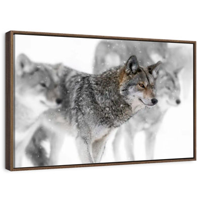 Coyote Band