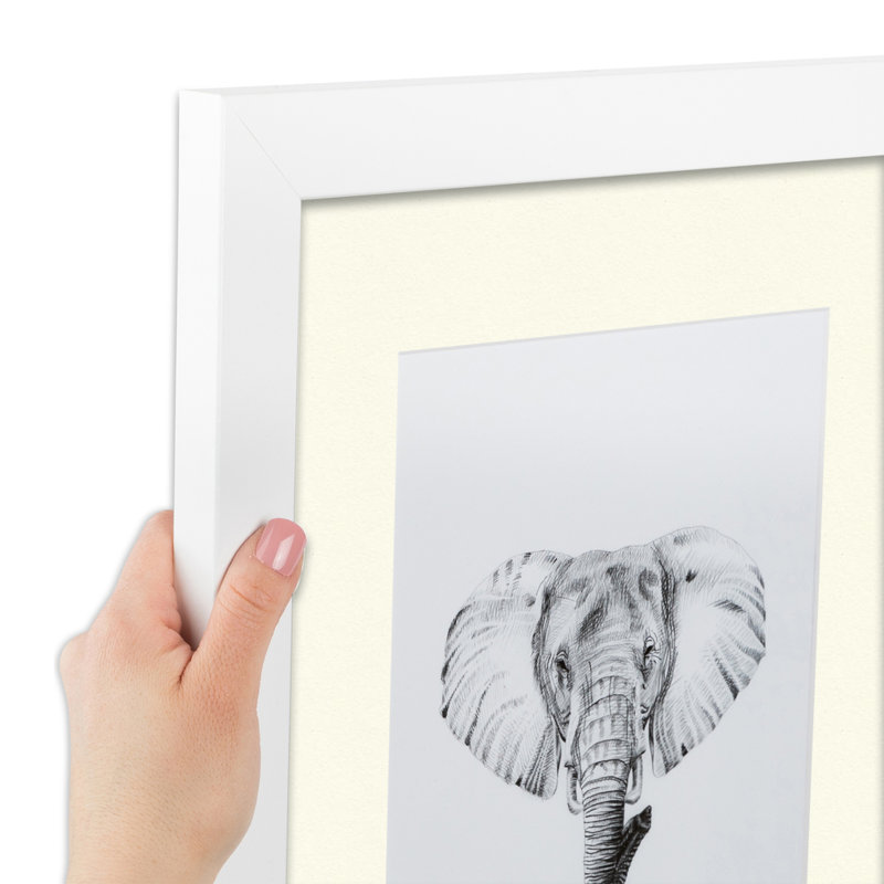 Matte Picture Frame with Mat, Brilliant White