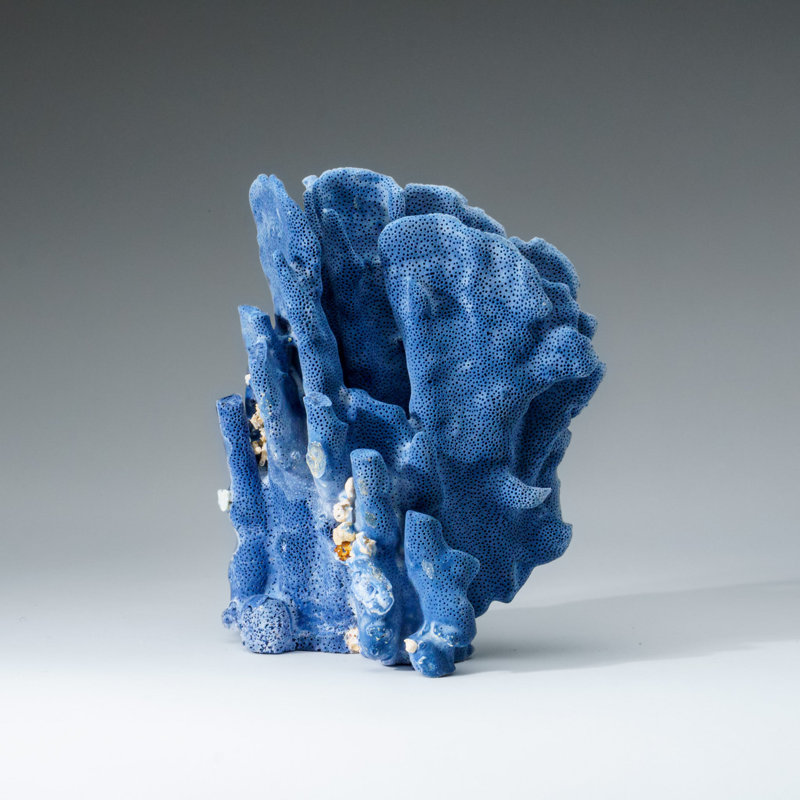 Genuine Blue Ridge Coral (5", 2.5 Lbs)