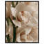 Water Droplets Print by Oliver Gal-795155216-795155222