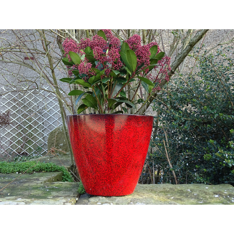 Alexaundrea Pot Planter