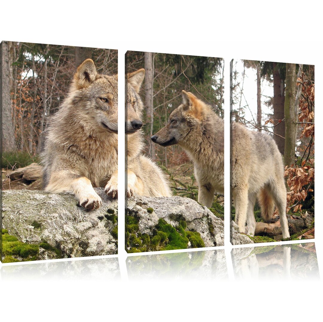 3-tlg. Leinwandbilder-Set Wölfe im Wald, Fotodruck