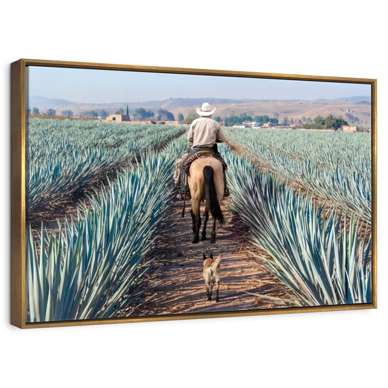 Inspecter la plantation d'agave, Cadre flottant doré, 43 po x 29 po