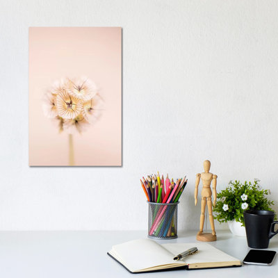 Bleach Blonde II by Renée Stramel - Gallery-Wrapped Canvas Giclée on Canvas