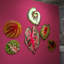 Décoration murale caladium