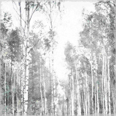 Birch Trees 2 by - on