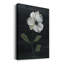 Limka Country Botanical I - impression sur toile tendue-967730348