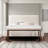 Modern Upholstered Bench with,48 Inch Indoor Bench for Entryway, Hallway, Living Room, Dining Room, Bedroom, Modern & Decorative - White, Cream Boucle-898561166