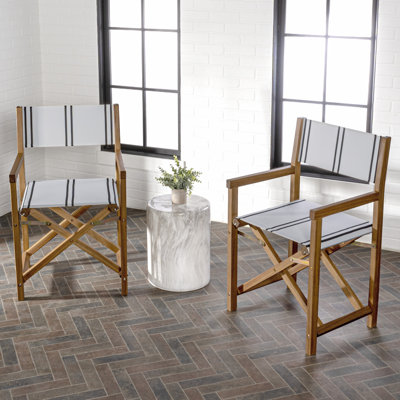 Zaniya Folding Director Chair by Hokku Designs