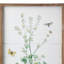 Papillon et fleur - ensemble de 4 peintures sur bois encadrées