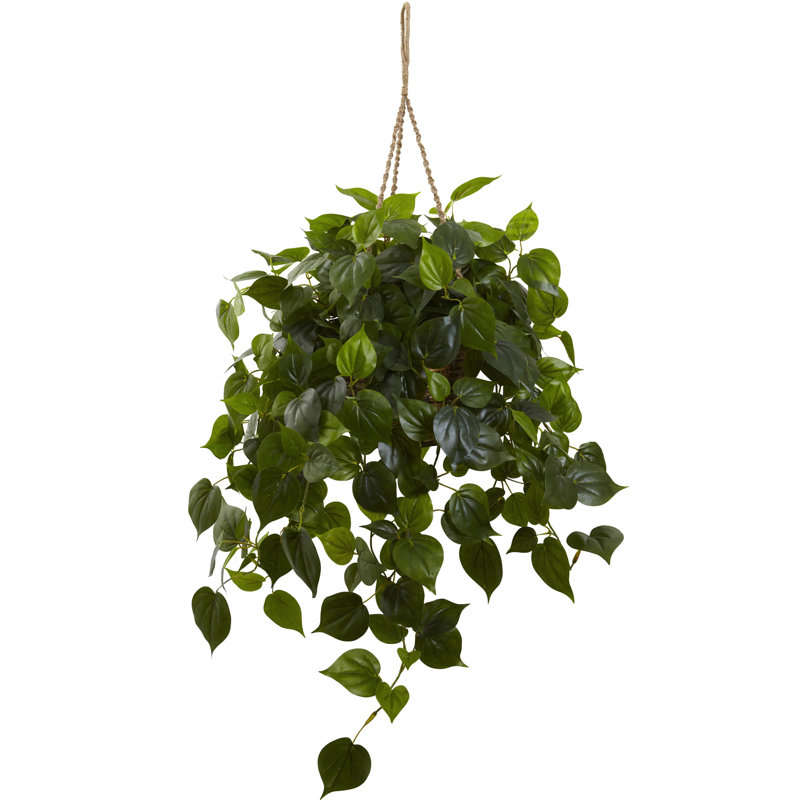 Outdoor UV Resistant Philodendron Hanging Basket