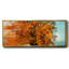 Autumn's Passion - Toile encadrée-2123614396