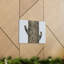 «Yellow Belly Sapsucker Couple», impression d'art mural-1641284755