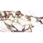 Carreau de porcelaine poli 24 po x 48 po Cala