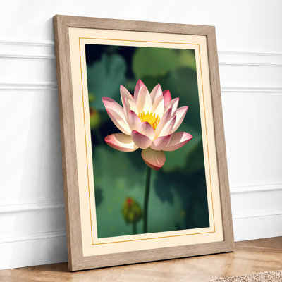 Floating Water Lily Botanical - Framed Print