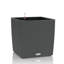 Moneak Planter Box-1392064356-1392064353