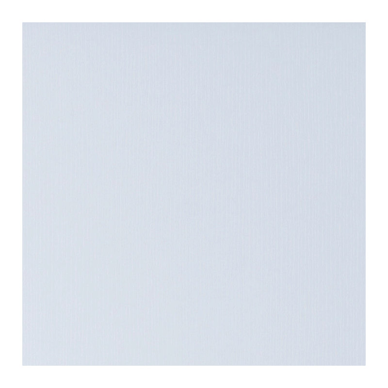 Armoire à chaussures / rangement avec deux portes et cinq tablettes - blanc