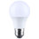 White LED Bulb