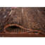 Tapis unique en brun 9 pi 6 po x 5 pi 10 po One-of-a-Kind