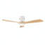 Ventilateur de plafond à profil bas de 52 pouces avec lumière et télécommande, montage encastré, réversible, 3CCT, à intensité variable, silencieux, ventilateur de chambre à coucher, intérieur / extérieur