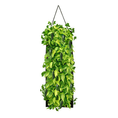 Organic Seed Hanging Planter Bag Kit-Jalapeno