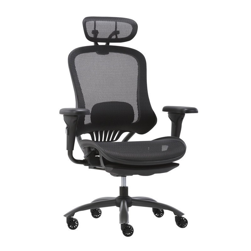 Inbox Zero Gundell Mesh Executive Chair with Headrest
