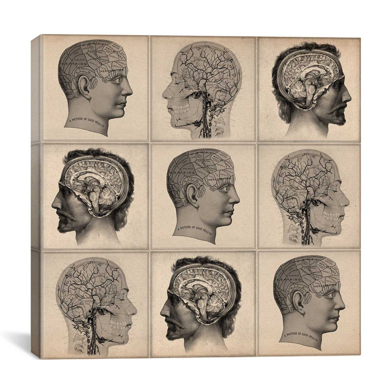 « human head », reproduction d’art sur toile Cartography, H 18 po x l 18 po x P 1,5 po