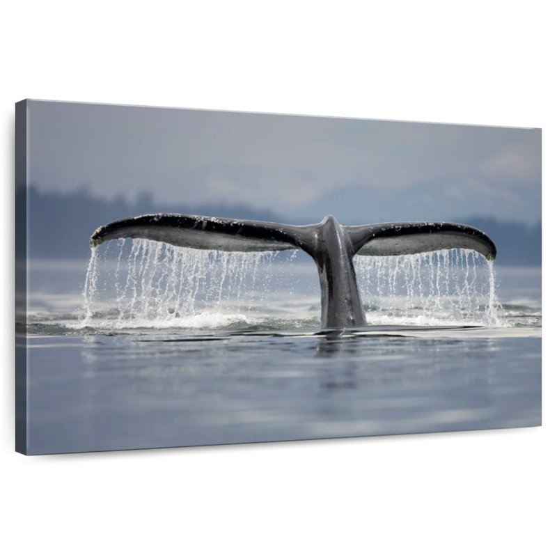 Brampt Diving Whale Tail