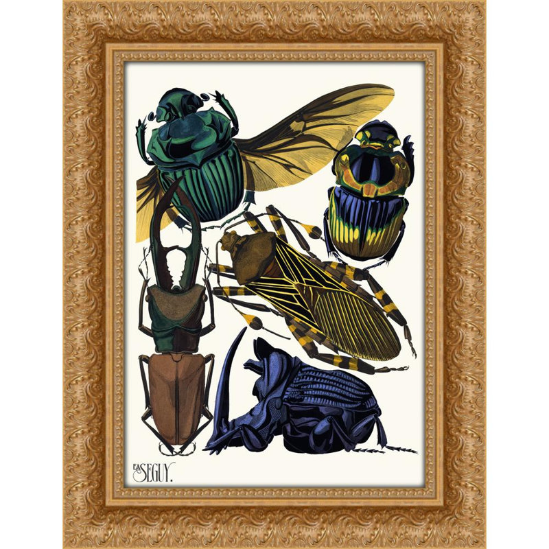 Insectes Pl.07 (1929), 18" H x 14" W