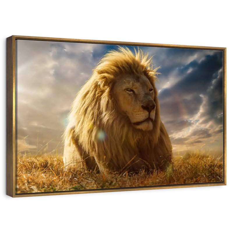 Safari Safari, Cadre flottant doré, 31 po x 21 po