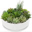 Ceramic Pot Planter