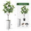 Arbre artificiel dans un pot à fleurs texturé blanc minimaliste moderne-104351663