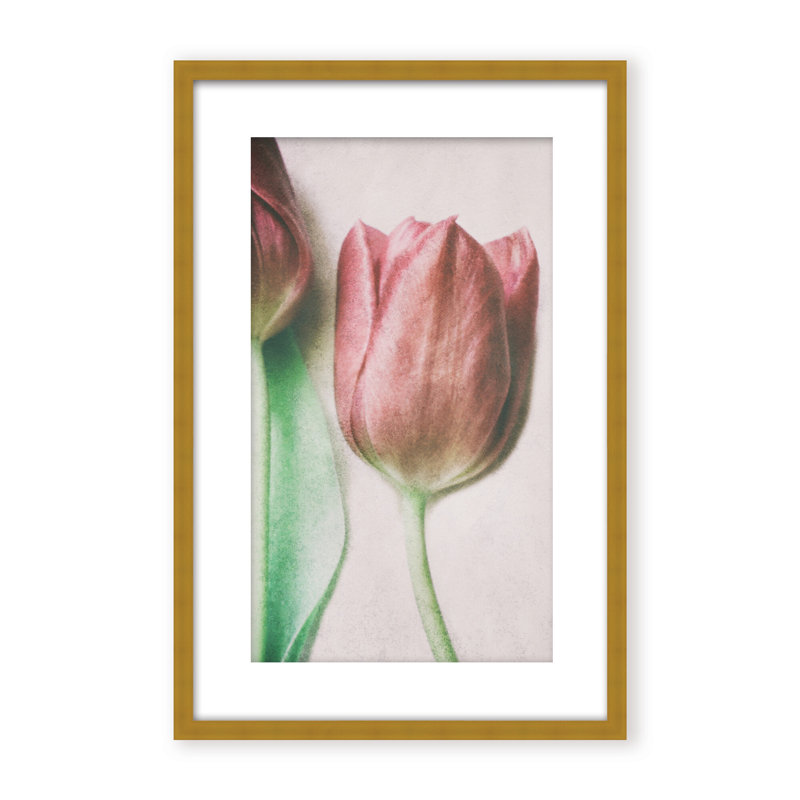 Nature Inspired The Spring Lovers by  - Picture Frame Graphic Art on Paper, Framed Canvas, 48" H x 32" W x 2.375" D, White