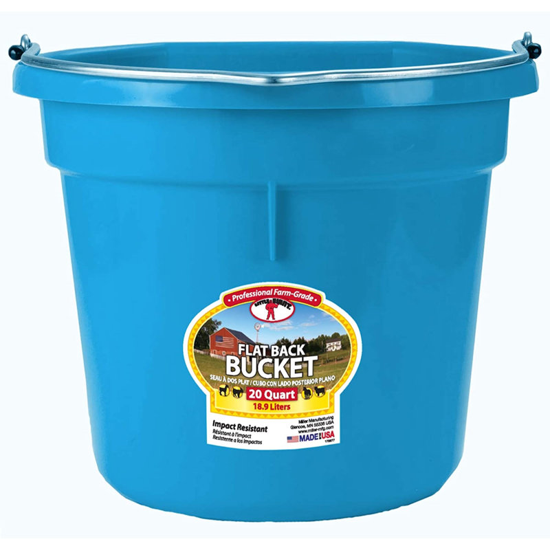 and Pet Bowl, Teal