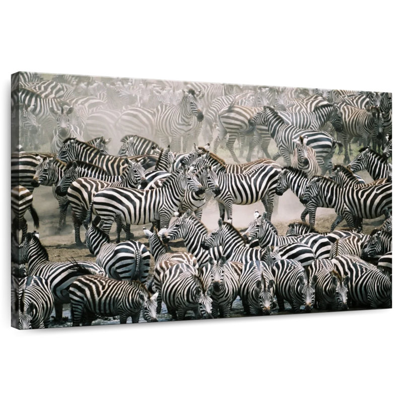Brampt Zebra Herd, 8" H x 12" W