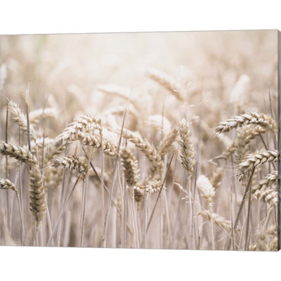 «Mute Wheat Field» par Leah Straatsma - impression sur toile tendue