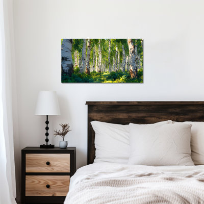 Doucet - Aspen Nature Canvas Prints, Forest Scenery Landscape Pictures Wall Decor for Home, Elegant Birch Tree Artwork for Living Spaces, Wrapped Canvas Pine Frame, 12×24 inches
