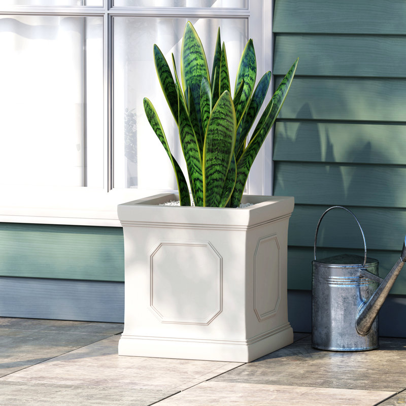 MGO PLANTER