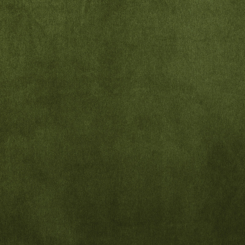 Fougère Brahms, Vert