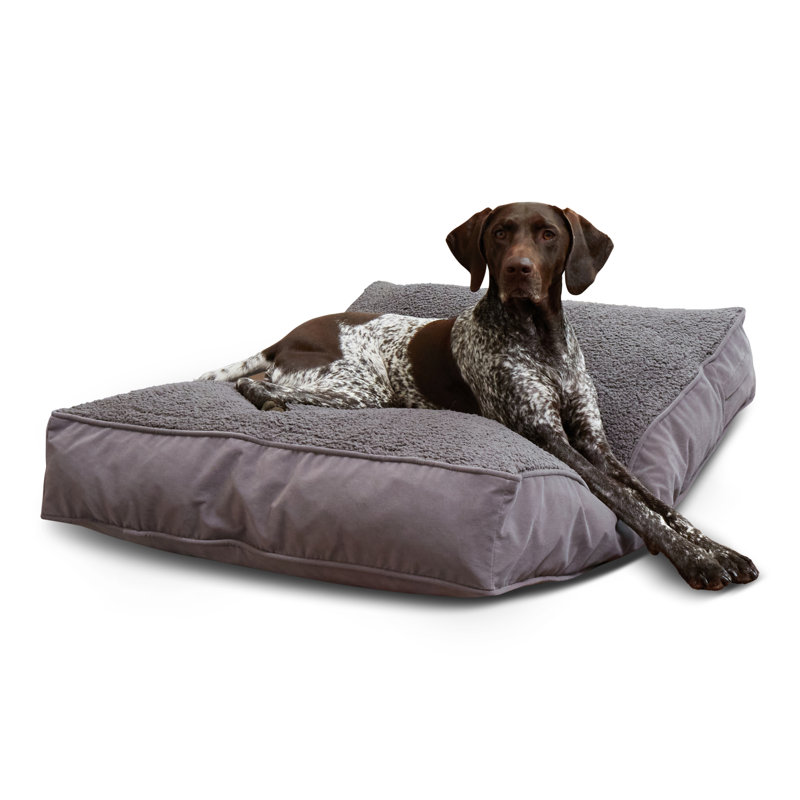 Lit pour chien avec coussin de soutien, Gris, Petit (l 36 po x P 24 po x H 4 po)