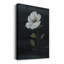 Country Botanical II - impression sur toile tendue-1301795128
