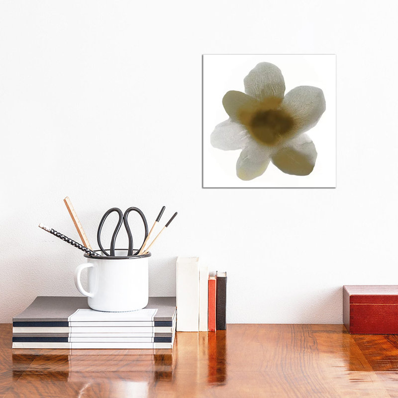 Taupe Bloom I by Hannah Carlson - Wrapped Canvas Gallery-Wrapped Canvas Giclée, 30.48 cm H x 30.48 cm W