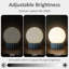 Lampe de table sphérique en verre opale à intensité variable 6,9 po avec base en résine bleue et support de lampe E12, certifiée cULus pour les tables de chevet de chambre à coucher, les tables d'appoint de salon, les bureaux à domicile, les entrées, les chambres d'hôtel ou l'éclairage d'ambiance de café-2078206502